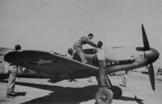 Irmgard 8.jpg