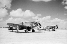 Irmgard 10.jpg