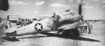Irmgard 9.jpg