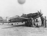 Irmgard 3.jpg