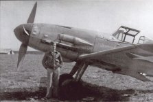 Irmgard 4.jpg