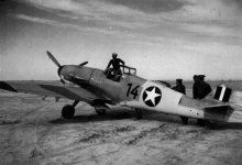 Irmgard 6.jpg