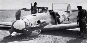 Irmgard 1.jpg