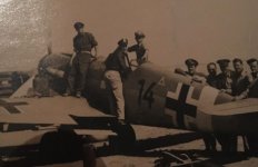 Irmgard 17.jpg