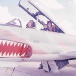 T-33 FAB 002.jpeg