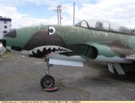 T-33 FAE 1099609012.jpg