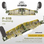Hybrjid P-51b-1.jpg