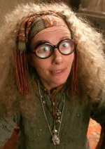 sybill-trelawney-199494-normal-3906997868.jpg