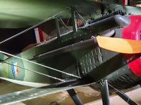 Spad detail 01.jpg