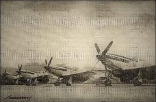 IMG_6782.jpeg