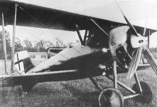 d4-2.jpg