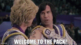 2e59ff46-943f-40ef-a1ca-2e7da86bc6d1_text.gif