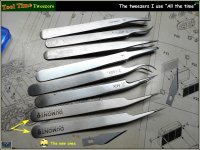 TT-Tw-24.jpg