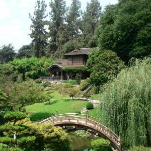 Japanese_Garden_at_Huntington_Library.jpg