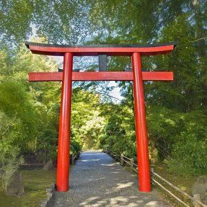 Japanese-garden-gates_zpsd1bf8f67.jpg