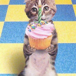 happy_birthday_cupcake.jpg