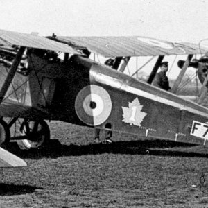 Sopwith_5F_1_Dolphin_F7085_of_1_Squadron_Canadian_Aif_Force_280383-08429.jpg