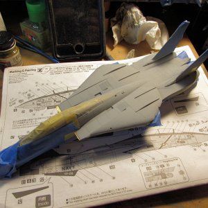 WIP_F-14_Tomcats_SPAM_Review_XXVIe.jpg