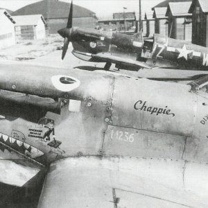 Spitfire_Mk_Vc_USAAF_Chappie_M236.jpg