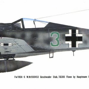 Focke-Wulf-Fw-190A6-Stab-II_JG300-Green-3-WNr-550453-Freidrich-Karl-Muller-Rheine-1943-0C.jpg