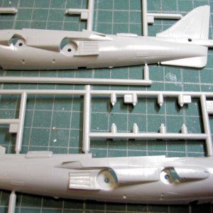 WIP Marine Harrier VI.jpg