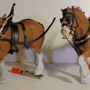 WIP Budweiser Clysdales II.jpg