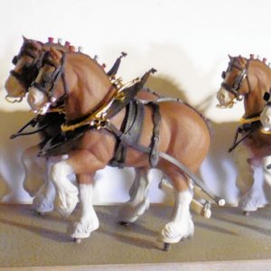 WIP Budweiser Clysdales XII.jpg