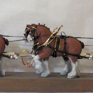 Budweiser Clydesdale Eigth Horse Hitch I.jpg