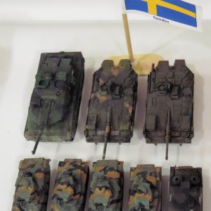 M-Swedish Army January 2026.jpg