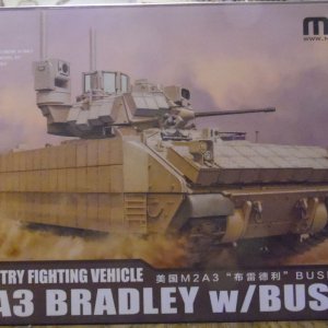 Meng M2 Bradley with BUSK III.jpg