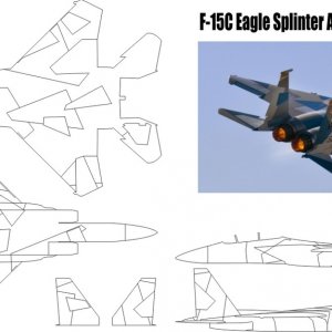 48th_F-15_Splinter_Aggressor_School.jpg
