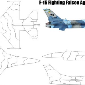 48th_F-16_3_color_aggressor.JPG