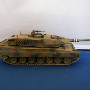 leo2_28529.JPG