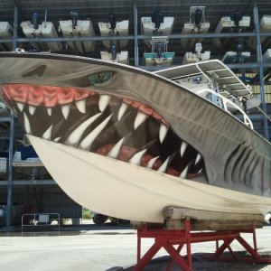 sharkboat.jpg