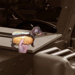 HOT-DOG-CLIP.jpg