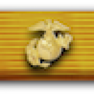 usmc_2010_ribbon.png