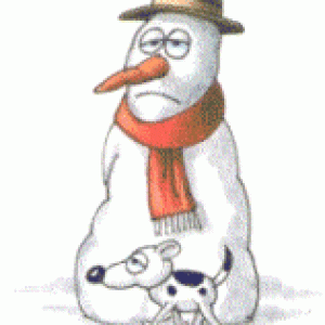 dog_and_snowman.gif