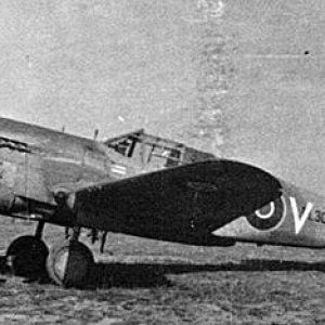 1-P-40M-RAAF-3sqn-CV-C-FL308-Gibbes-Italy-1943-01.jpg