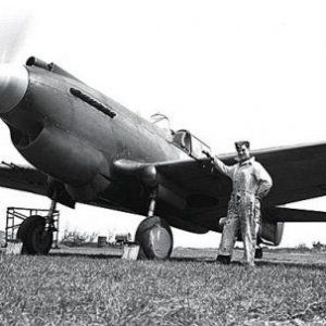 Curtiss_Model_81A_P-40_Tomahawk_RCAF.jpg