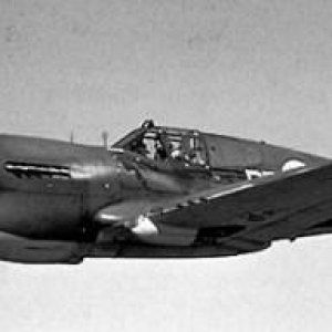 Curtiss_P-40_Kittyhawk_RCAF_flt.jpg