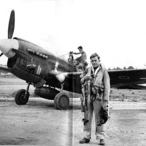 Curtiss-P-40M-Kittyhawk-USAAF-43-5505-RNZAF-NZ3072-19-Wairarapa-Wild-Cat-01.jpg