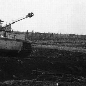 Tiger-Russ-1944.jpg