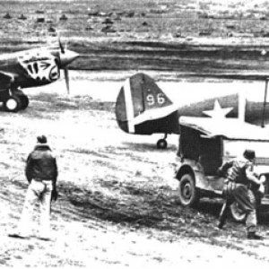 P-40_AleutianTiger_96_Umnak.jpg