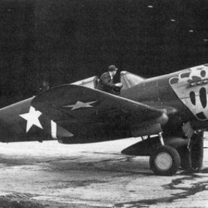 P40E-ALEUTIAN-bw.jpg