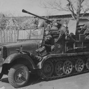 SdKfz_6-2_with_Flak_36.jpg