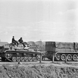 Sdkfz_9_FAMO_towing_Panzer_III_Russia_1941.jpg