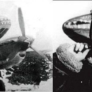 Pe-2confauces.jpg