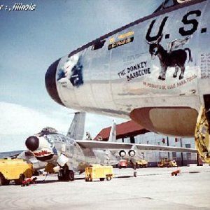 RB-47_donkey_BBQ.jpg