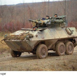 Piranha_1_Cougar_wheeled_armoured_combat_vehicle_Canada_Canadian_army_017.jpg