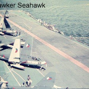 0196_seahawk.jpg